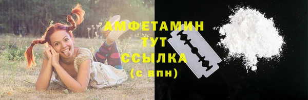 ГАЛЛЮЦИНОГЕННЫЕ ГРИБЫ Заволжье