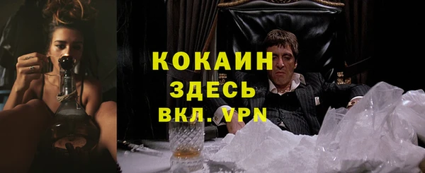ГАЛЛЮЦИНОГЕННЫЕ ГРИБЫ Заволжье