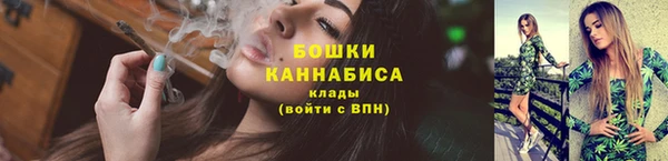 ГАЛЛЮЦИНОГЕННЫЕ ГРИБЫ Заволжье